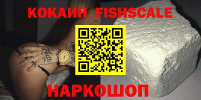 индика Партизанск