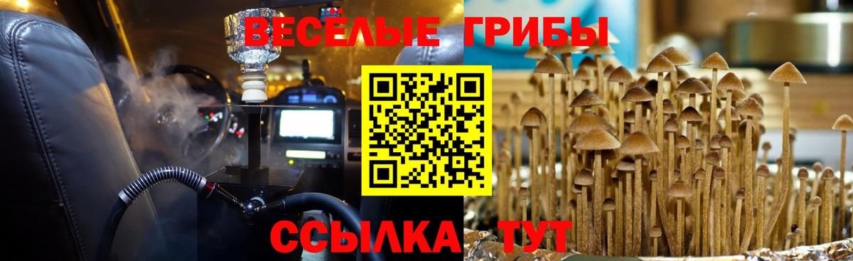 Галлюциногенные грибы MAGIC MUSHROOMS Сосновоборск