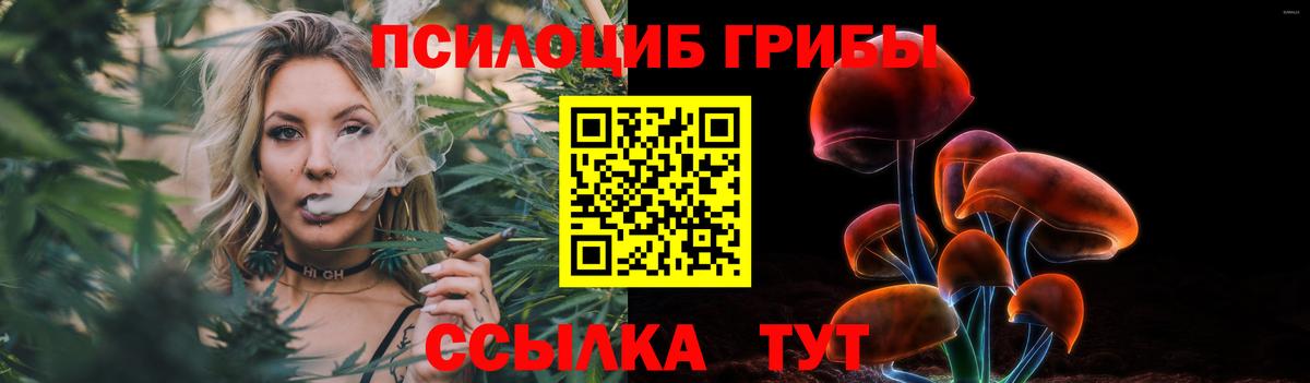 Галлюциногенные грибы Cubensis  Псилоцибиновые грибы прущие грибы  купить   Сосновоборск  Вход с VPN 